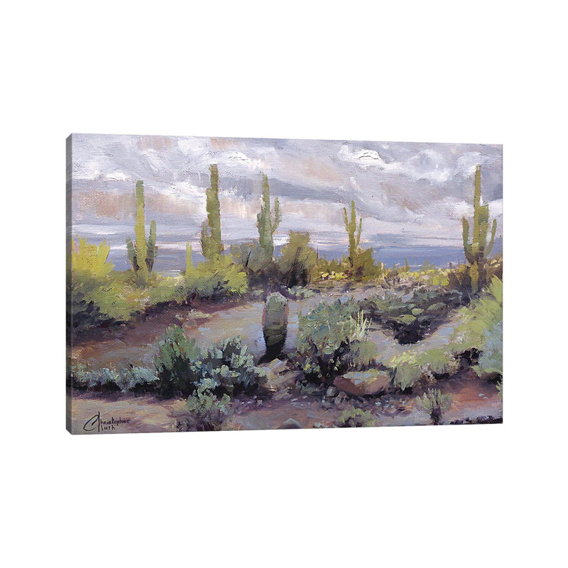«Desert and Rain I» par Christopher Clark, reproduction d'art, Toile tendue, H 18 po x l 26 po x P 1,5 po