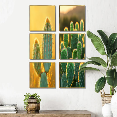 Cactus dans la lumière du matin - ensemble de 6 décorations murales florales