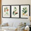 Turpin Tropical Botanicals IV - reproduction sur mesure encadrée de qualité supérieure - 3 pièces