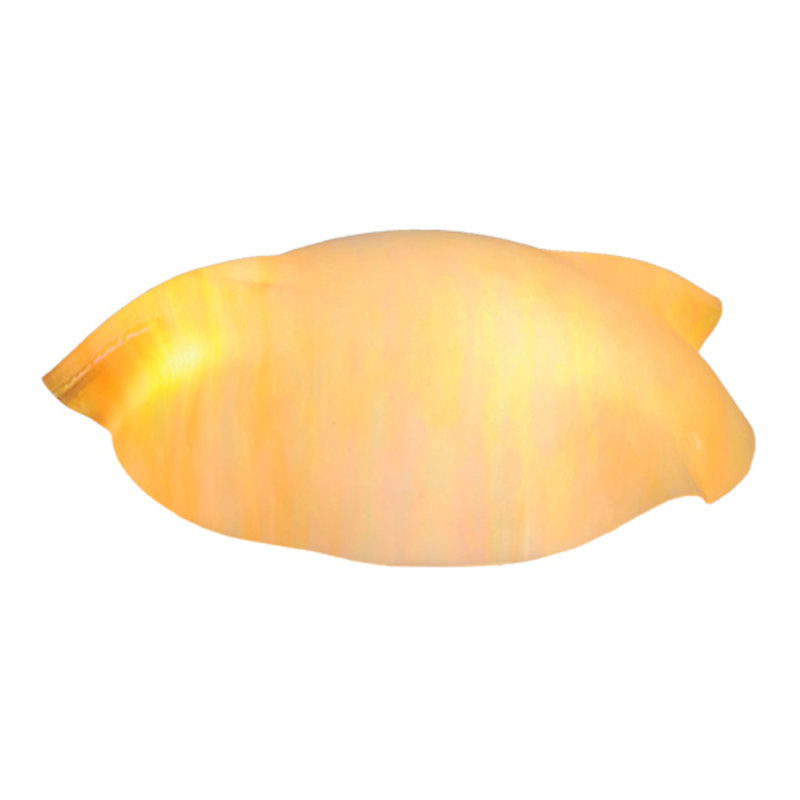 Atelier Novelty Lamp Shade