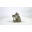 Chatons étreignant-67579695