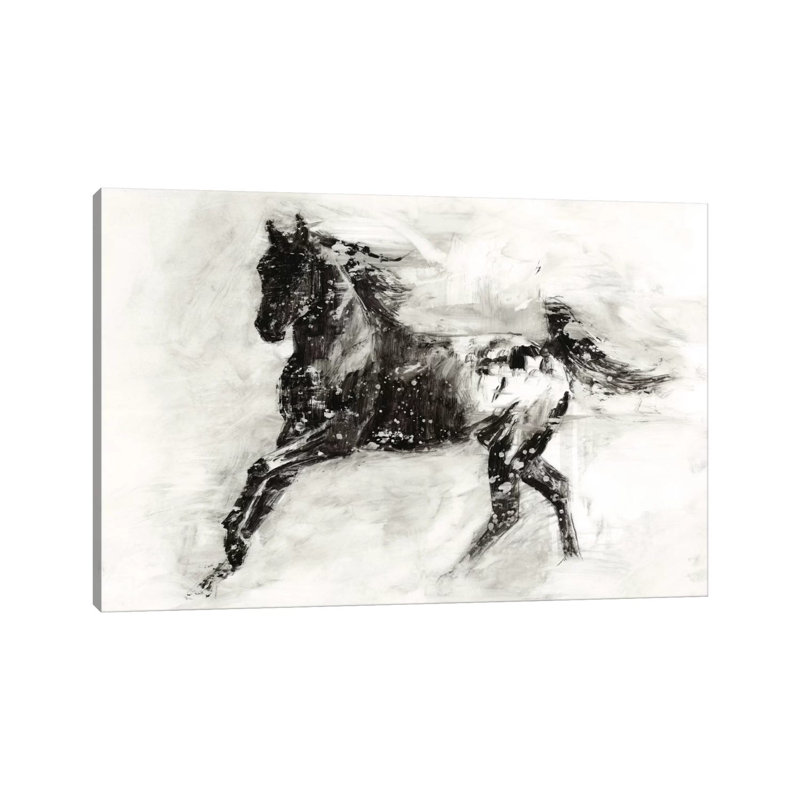 Rustic Appaloosa II by Ethan Harper - Wrapped Canvas Print, 20.32 cm H x 30.48 cm W