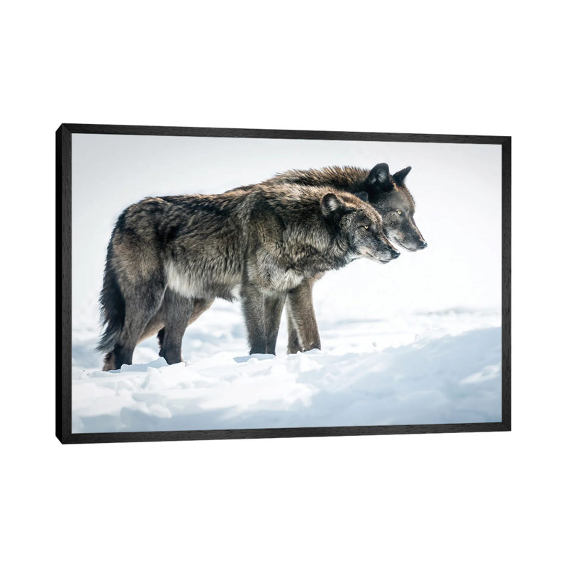 Side By Side by David Gardiner - Print on Canvas, Black Framed, 66.04 cm H x 45.72 cm W
