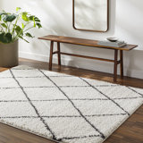 Cassundra Rectangle Geometric Machine Woven Polyester Area Rug in Charcoal/White