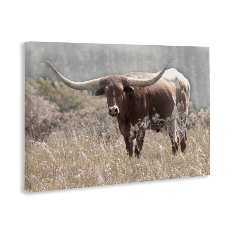 Photographie du Texas, photo par Carol Robinson, H 24 po x l 36 po