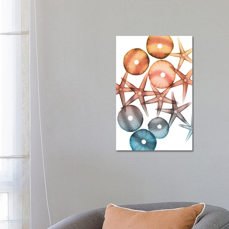 Jolly Starfish I 1 Piece Wall Art on Canvas, 66.04cm H x 45.72cm W x 1.91cm D, Wrapped Canvas
