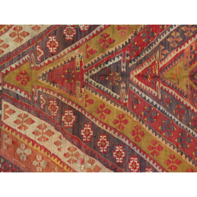 Breneshia Hand Woven Cotton and Wool Oriental Area Rug