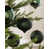 Sage Green is out of stock