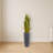 Sansevieria Artificial Plant in Gray Planter