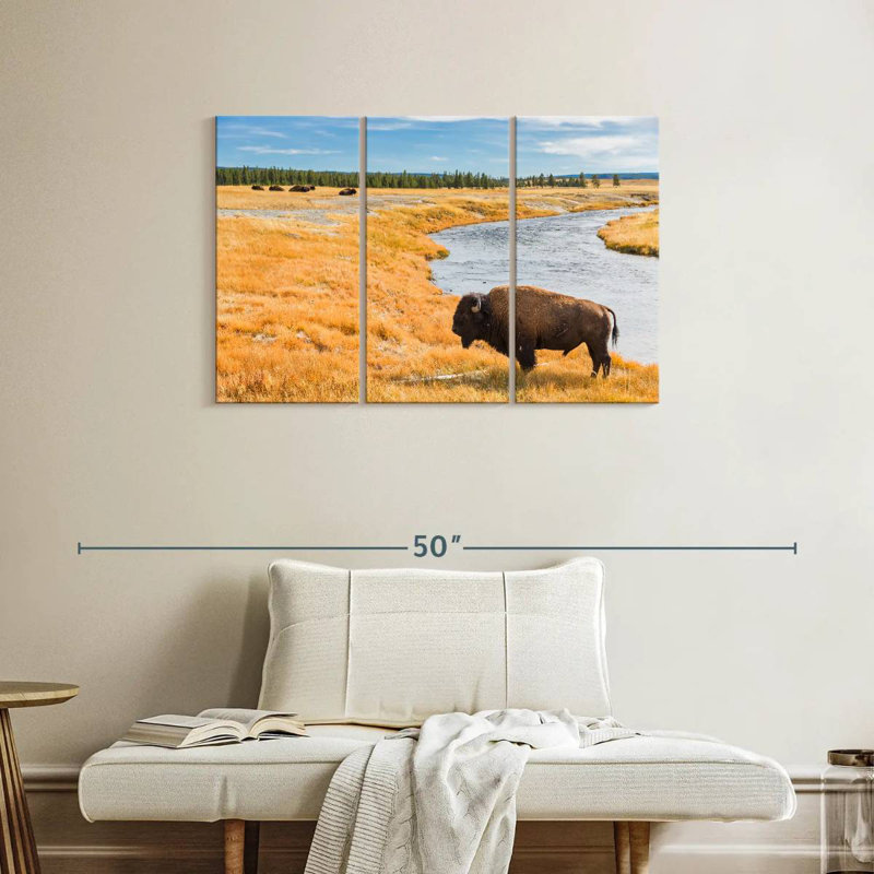 Brampt National Park Bison, 24" H x 38" W