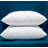 Valerian Polyester Medium Throw Pillow for Couch Sofa Bed Decorative Cushion Christmas Gift Anyone-1312679609