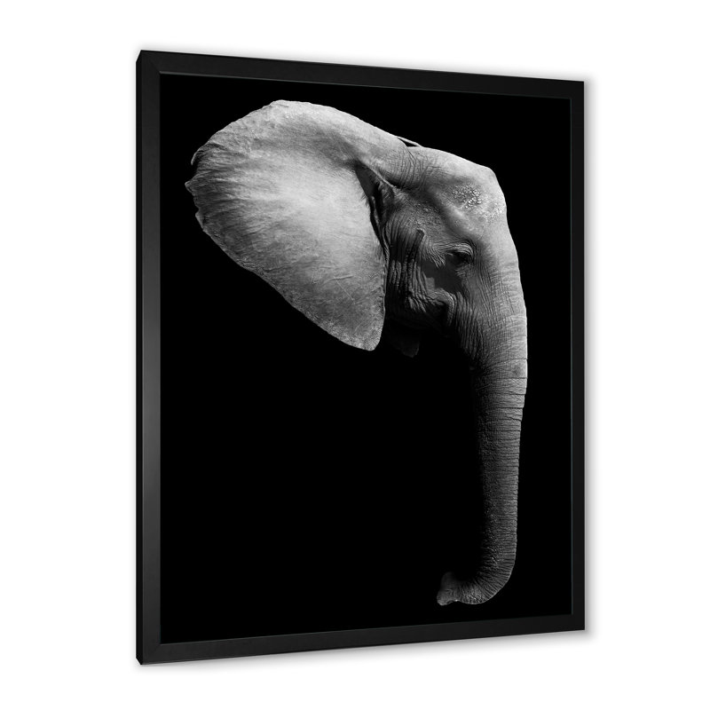 Éléphant d'Afrique en noir et blanc - Impression sur toile, Cadre photo noir, H 20 po x l 12 po