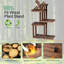 Addlyn Plant Stand