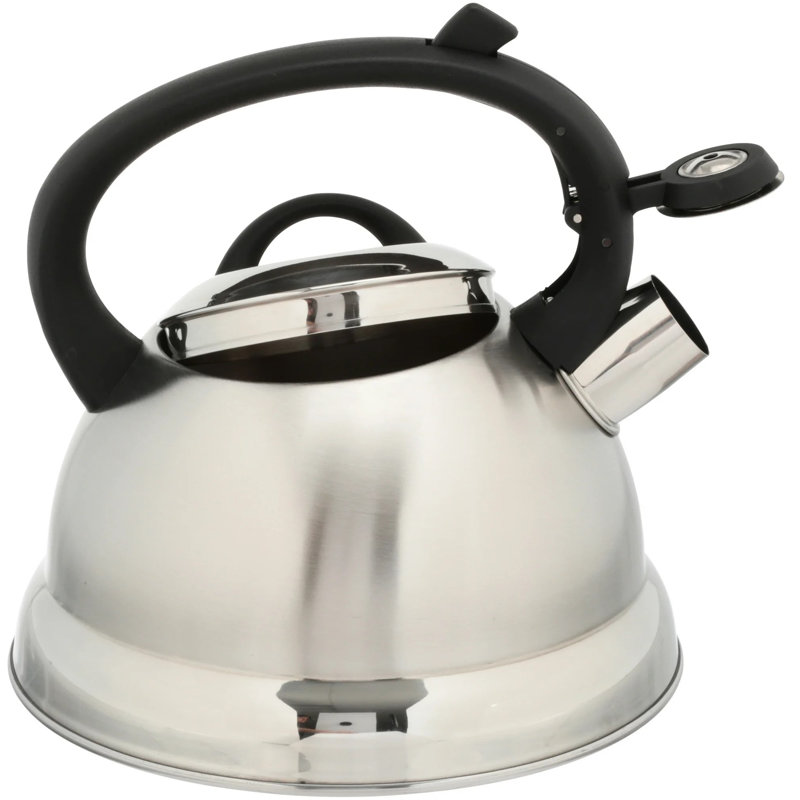Bouilloire sifflet en acier inoxydable 1,75 pintes ORIXFORCE