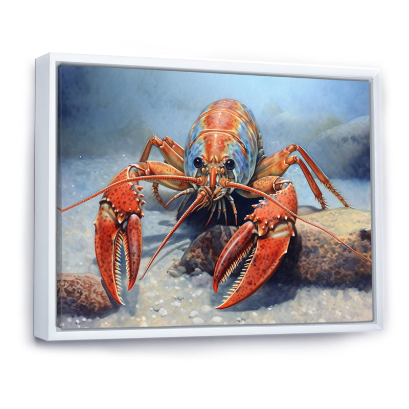 " Freshwater Crayfish I ", 12" H x 20" W x 1" D, White Floater Framed