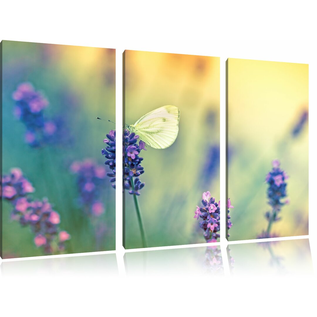 3-tlg. Leinwandbilder-Set „Schmetterling auf Lavendel“, Fotodruck