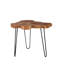 Marjo Tree Stump End Table