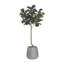Daytona Faux Fiddle Leaf Fig Tree in Fiberstone Planter