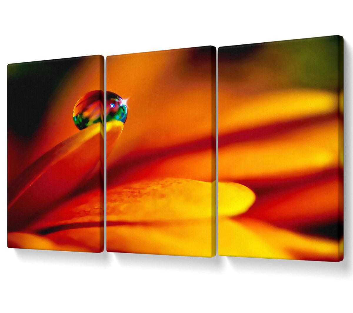 Ebern Designs Fire Petal Reflection - 3 Piece Wrapped Canvas Graphic ...