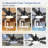 Selvidge 52'' Ceiling Fan with LED Lights and Remote, 6 Speed Quiet Reversible DC Motor, 5 Plywood Blades, 5''/10'' Downrods,Timer-139012768