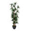 Yucca Tree in Fiberstone Planter