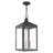 Inniss 3 - Light Outdoor Hanging Lights-34439997-34439996