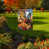 Automne jaune/rouge/vert