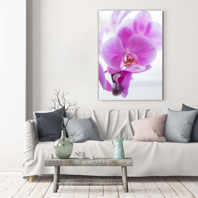 Pink Orchid - Wrapped Canvas Print