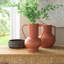 Irina 2 Piece Red Metal Table Vase Set