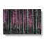 Forest In Pink - Wrapped Canvas-55364013