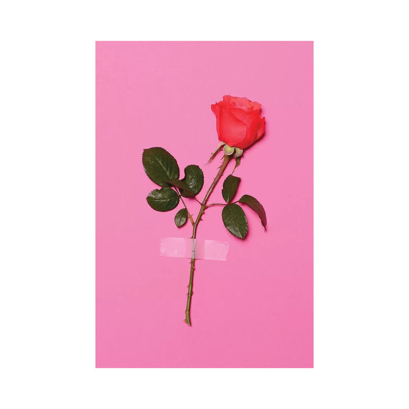 Wallflower by Honeymoon Hotel - Wrapped Canvas Print, 66.04 cm H x 45.72 cm W x 1.91 cm D