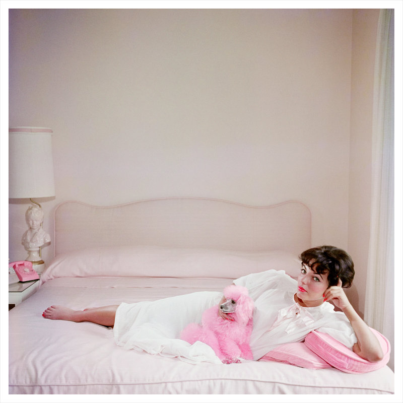 Joan Collins Relaxes Print by Slim Aarons, 45" H x 45" W x 0.1" D, Unframed