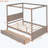 Dilyla Storage Canopy Bed-609413280-668383170