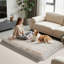 Dog Bed-1859697633-1859697662