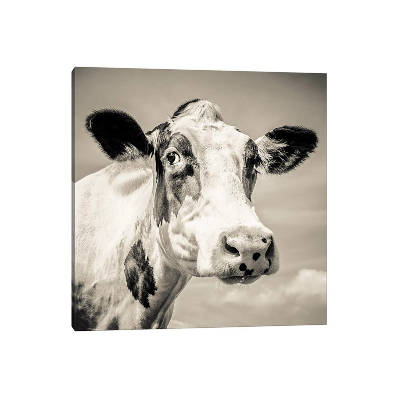 Fresian I by Mark Gemmell - Wrapped Canvas Gallery-Wrapped Canvas Giclée, 66.04 cm H x 66.04 cm W