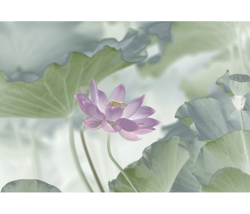 Wrapped Canvas Print, 60.96 cm H x 91.44 cm W