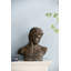 Buste Akeil brun / gris Atticus