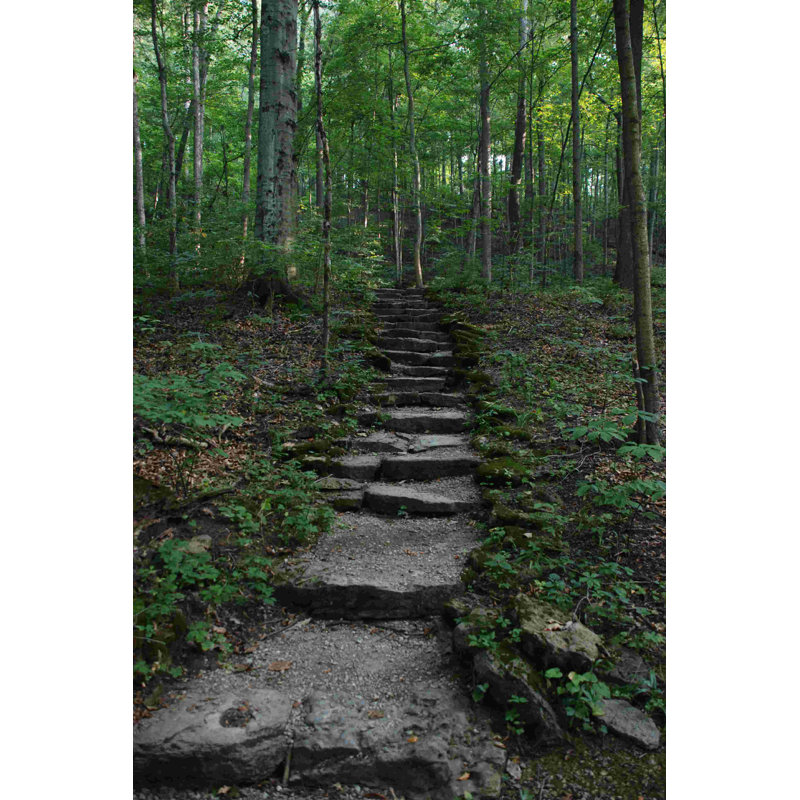 Stone Path, photographie sur toile tendue, H 30 po x l 20 po