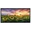 Champ de tournesols en fleurs - Photographie sur toile-363462851-363462850