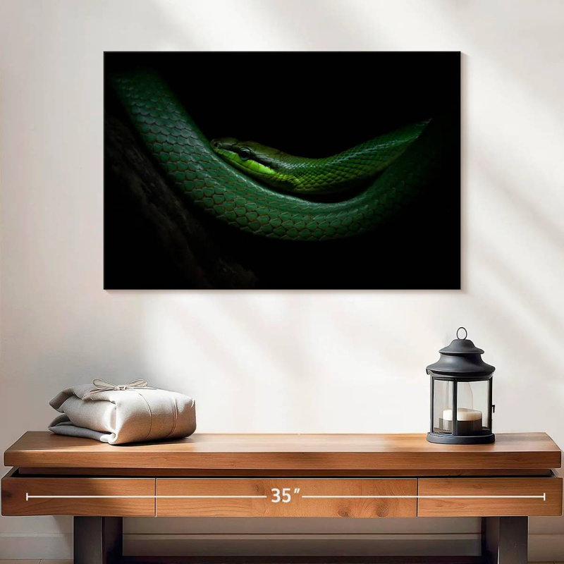 Brampt Mamba, 16" H x 24" W