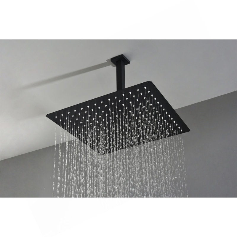 Pomme de douche 16 po noir mat