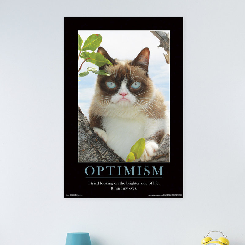 « grumpy cat- », impression sur papier