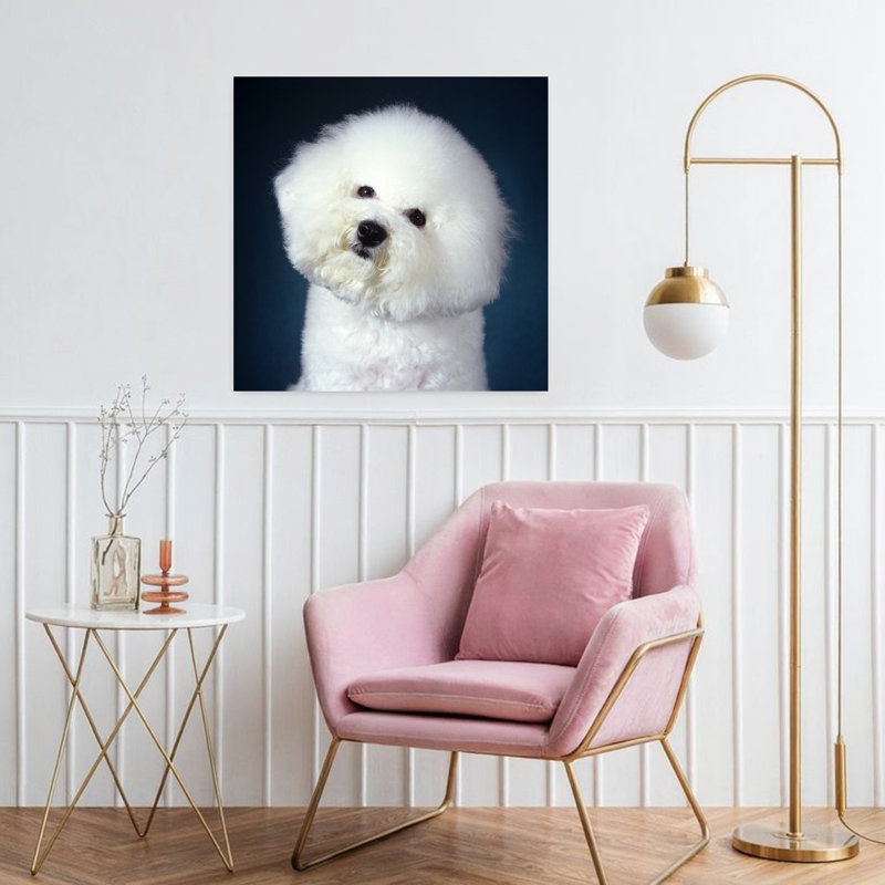 2000S Bichon Frise Dog Portrait Looking At Camera Classic Retro Vintage Dog Wall Art, H 32 po x l 32 po