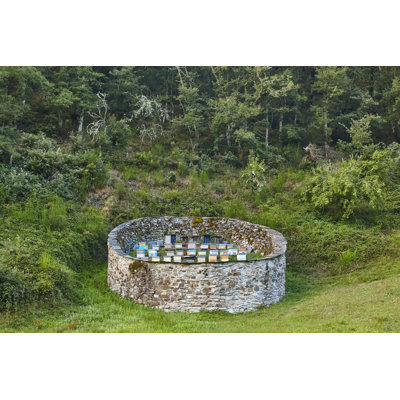 Beehives sur toile
