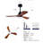 42 Inch Ceiling Fans With Lights And Remote-1129122534-1129122531-1129122530
