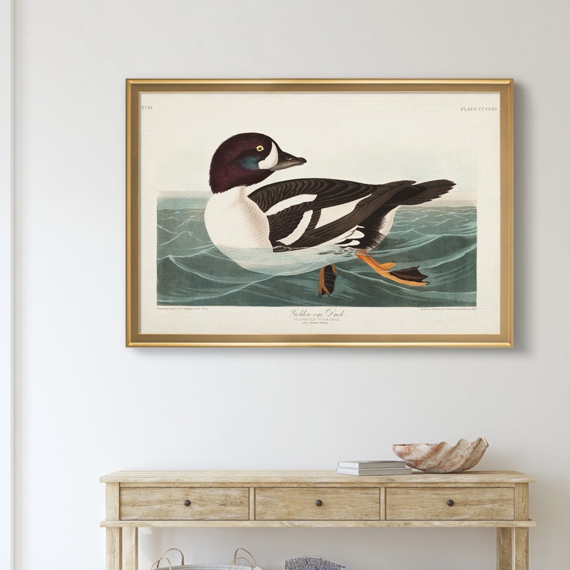Golden Eye Duck - reproduction d'art sur toile, Doré, H 22,5 po x l 30,5 po x P 1,5 po