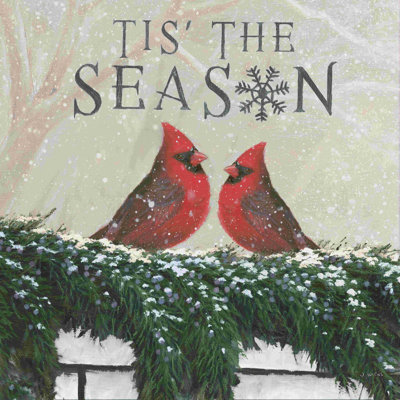 Affinité de Noël avec deux oiseaux
