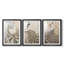 ANIMALS Series CCLV  -Custom Framed  Premium Print W Matt - 3 Pieces-1285023872-1285023878