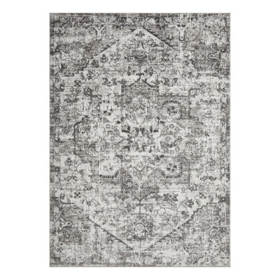 Ariez Oriental Indoor Rug