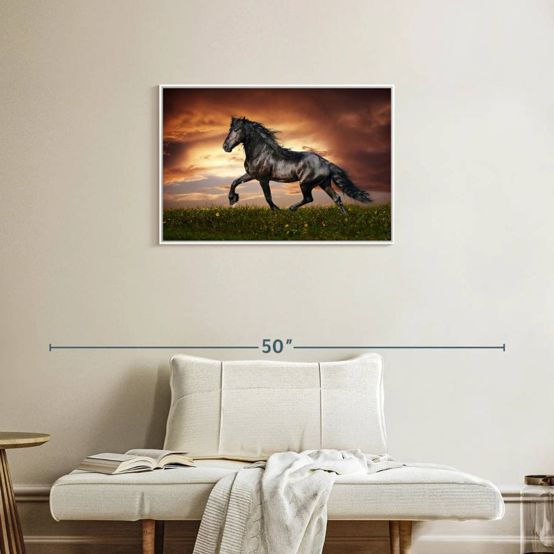 Cheval baroque, Cadre flottant blanc, 31 po x 21 po